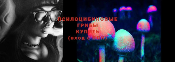твердый Бежецк