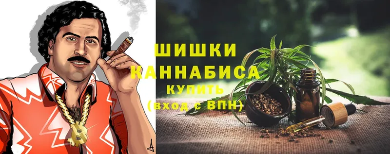 Шишки марихуана Amnesia  Пермь 